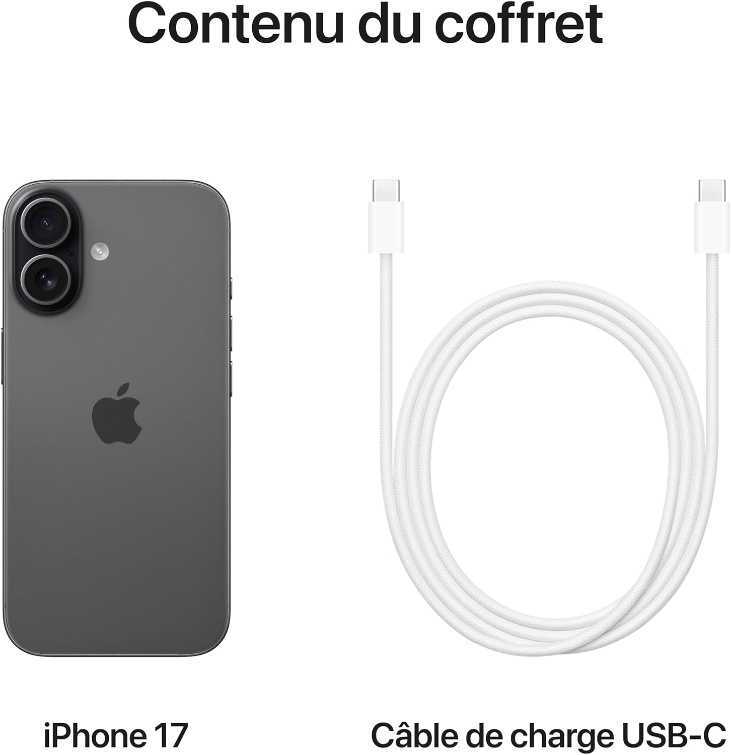 Apple iPhone 17 256 Go : Écran 6,3 pouces avec ProMotion, Puce A19, Caméra avant Center Stage, Meilleure résistance aux rayures, Autonomie d’une journée ; Sauge