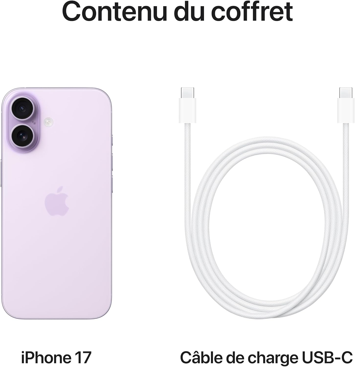 Apple iPhone 17 256 Go : Écran 6,3 pouces avec ProMotion, Puce A19, Caméra avant Center Stage, Meilleure résistance aux rayures, Autonomie d’une journée ; Sauge