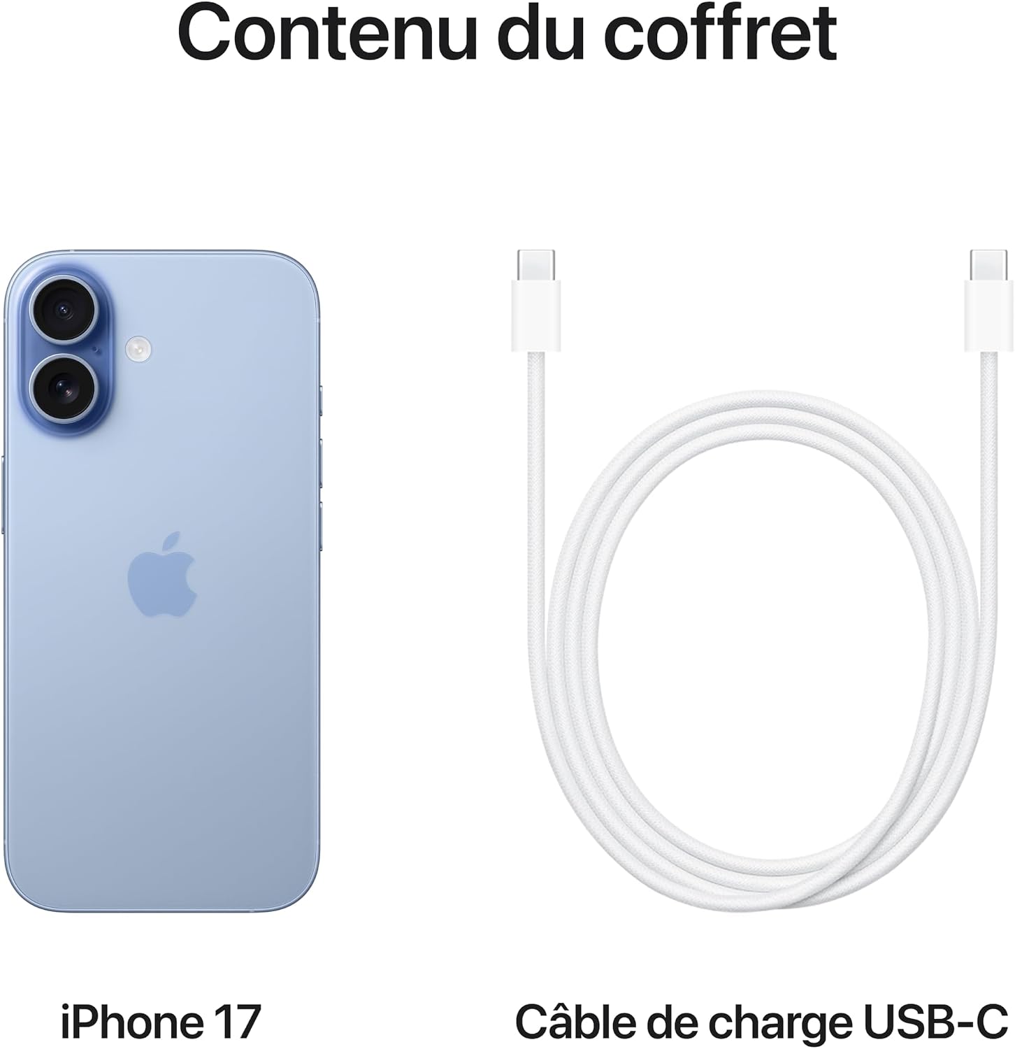 Apple iPhone 17 256 Go : Écran 6,3 pouces avec ProMotion, Puce A19, Caméra avant Center Stage, Meilleure résistance aux rayures, Autonomie d’une journée ; Sauge
