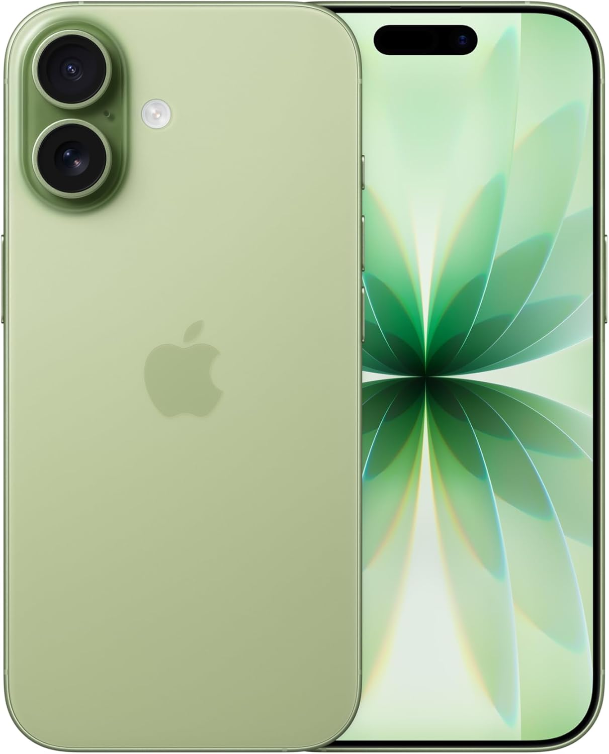 Apple iPhone 17 256 Go : Écran 6,3 pouces avec ProMotion, Puce A19, Caméra avant Center Stage, Meilleure résistance aux rayures, Autonomie d’une journée ; Sauge