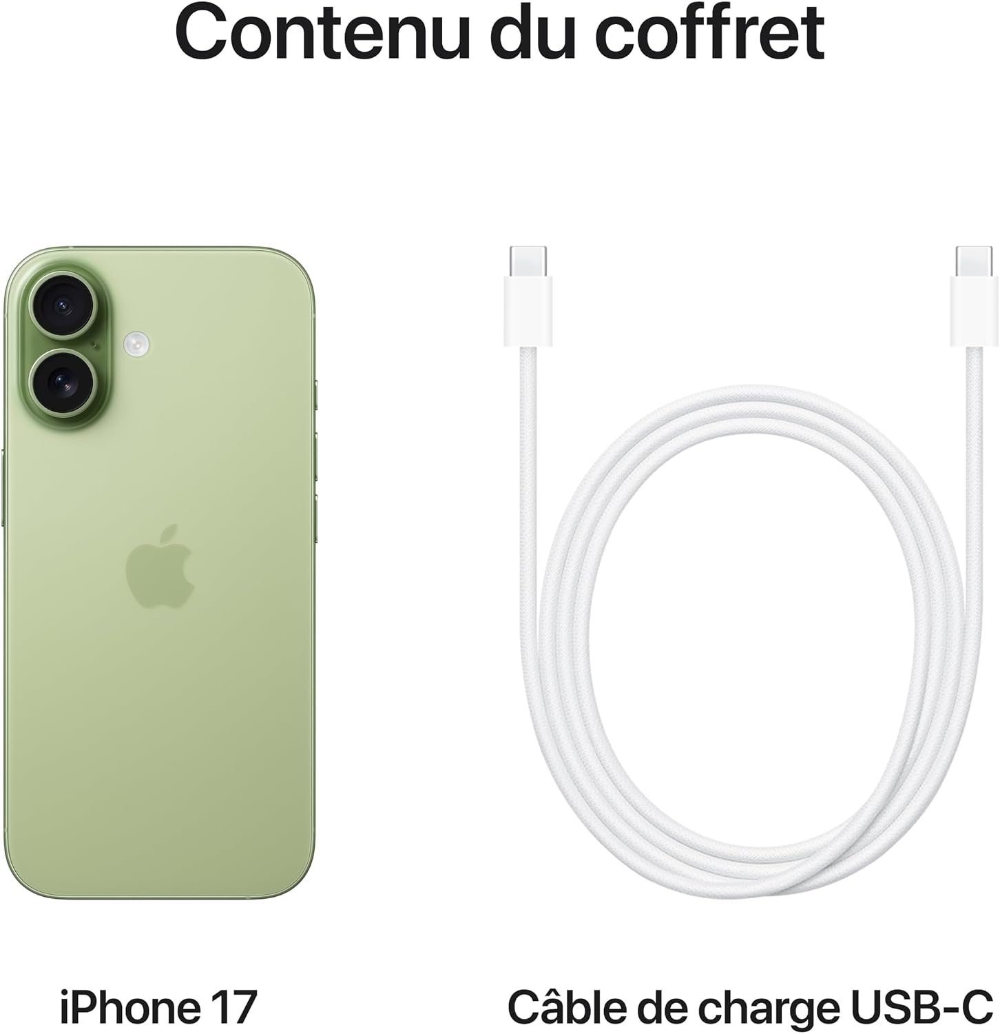 Apple iPhone 17 256 Go : Écran 6,3 pouces avec ProMotion, Puce A19, Caméra avant Center Stage, Meilleure résistance aux rayures, Autonomie d’une journée ; Sauge